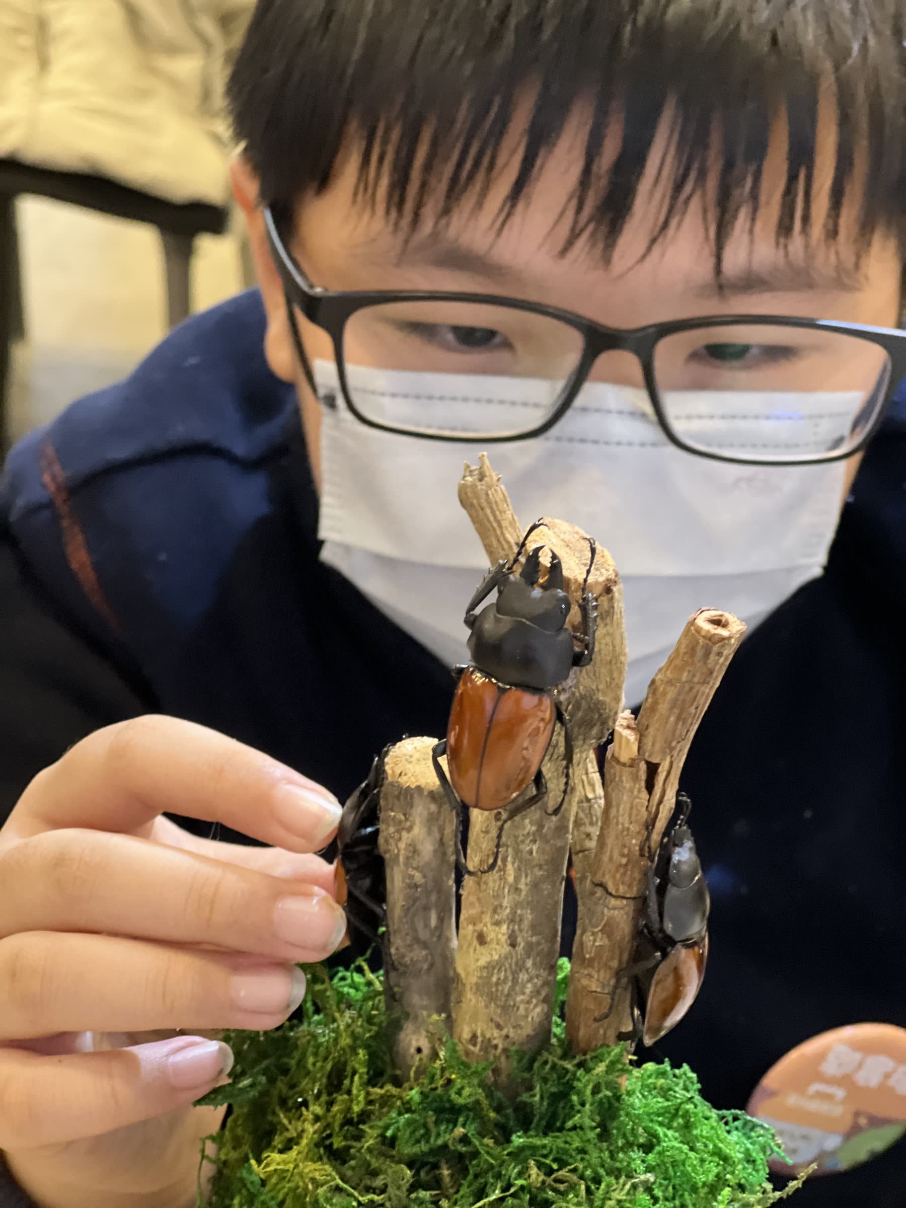 小小飼育員入門工作坊